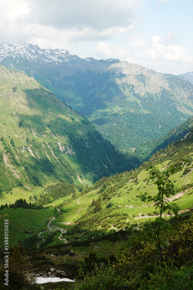 Naklejka premium The Hintersteiner valley, Bad Hindelang, Germany