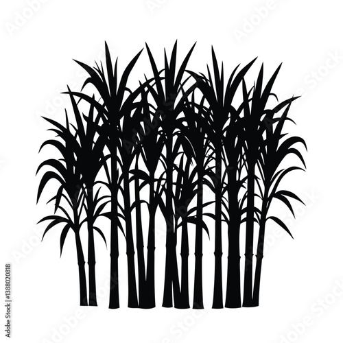 sugarcane plantation silhouette