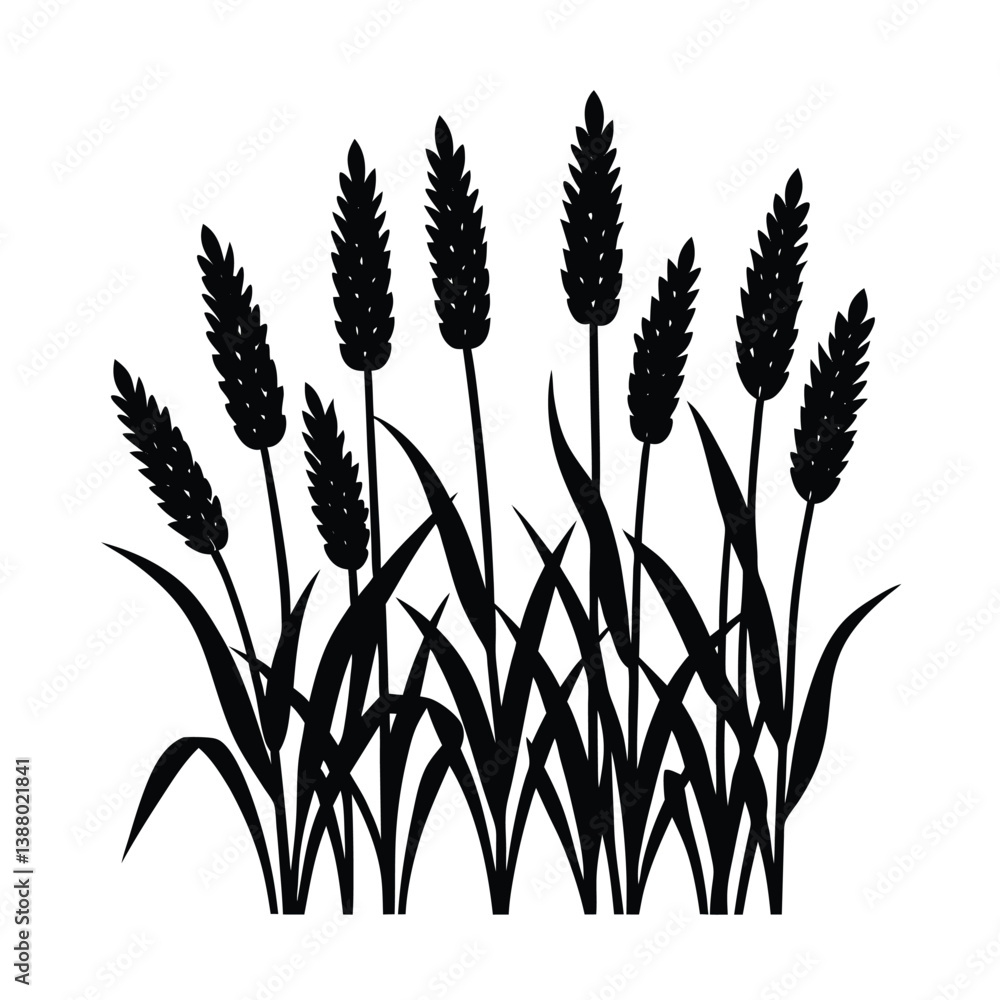 Fototapeta premium millet field silhouette