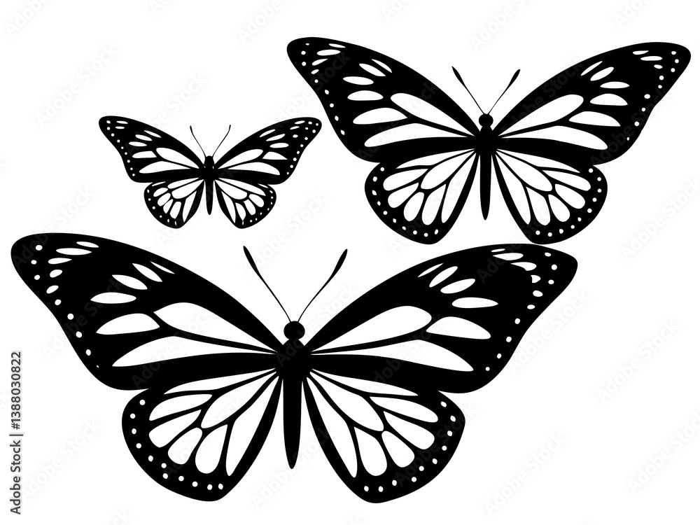 Obraz premium butterflys vector illustration