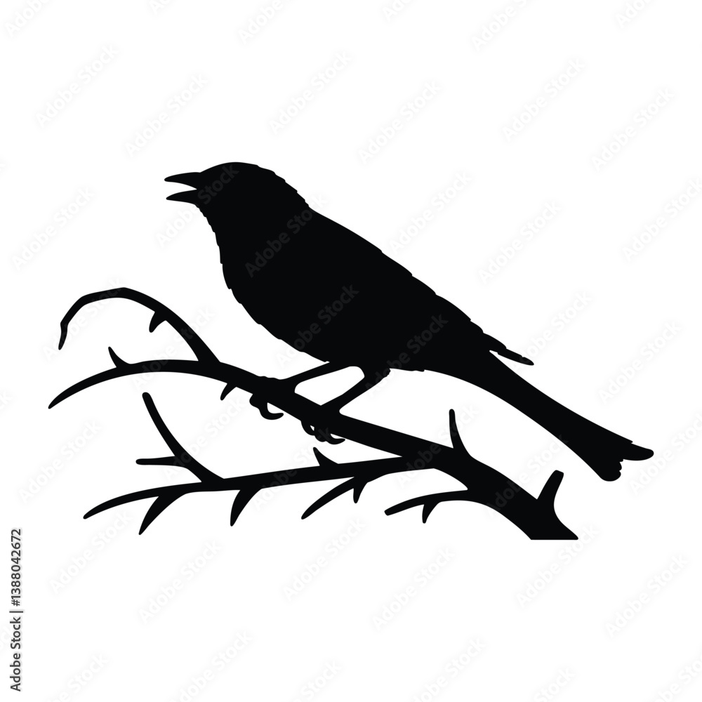 Fototapeta premium Finch bird silhouette vector art style black