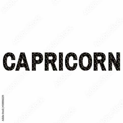 Star Sign Capricorn 