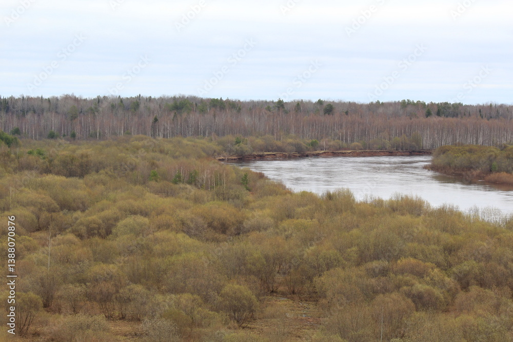 river flood in spring forest river flood in spring forest