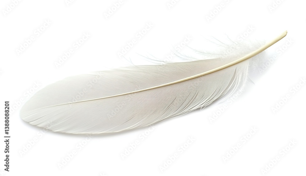 Obraz premium A single white feather floating in mid-air against a pure white background, soft lighting accentuating delicate curves and wispy texture, minimalist elegance.