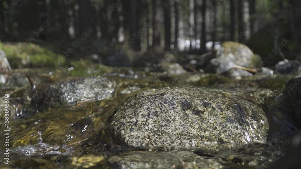 Clear Water Stream in Rocky Alpine Woodland – Close-Up View 4K BT2020 HLG Clear Water Stream in Rocky Alpine Woodland – Close-Up View 4K BT2020 HLG