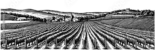 Woodcut Vineyard Landscape, Vintage Engraved,ink hand drawn style illustration, vector.
