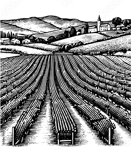A black and white woodcut style illustration depicting a vineyard stretching from the foreground to the background black and white vintage wine label