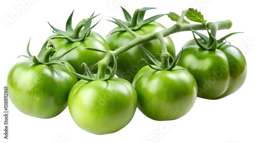 Wallpaper Mural A Cluster of Fresh Green Tomatoes on the Vine Ready for Harvest Torontodigital.ca