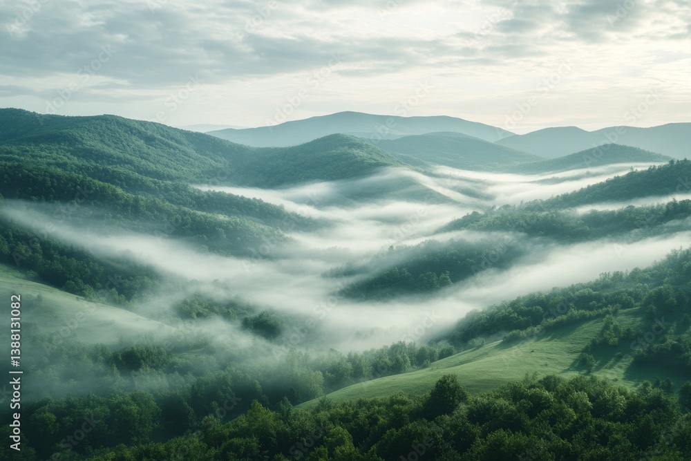 Fototapeta premium Misty mountain range with green forest and early morning light