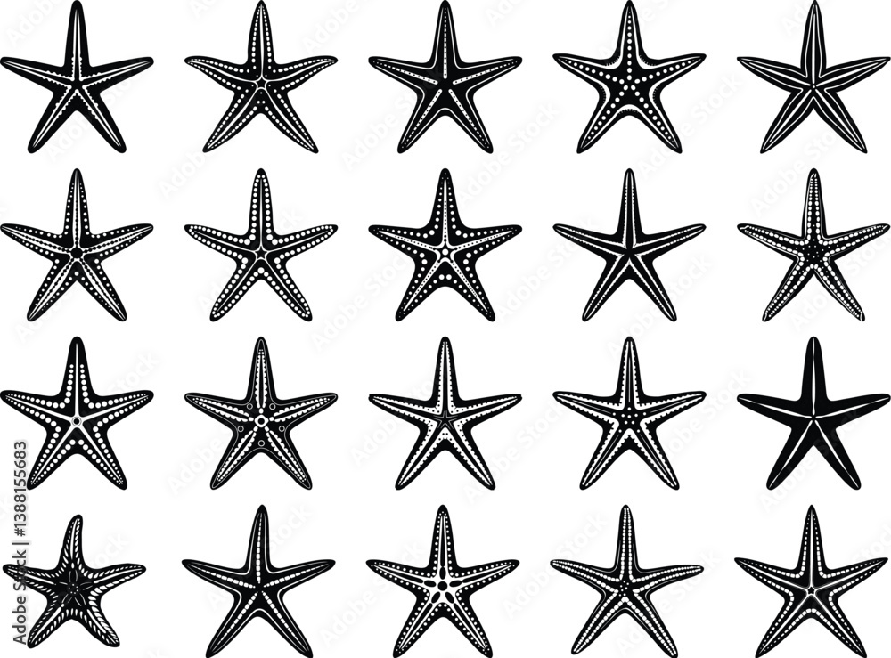 Starfish Icon Starfish Icon