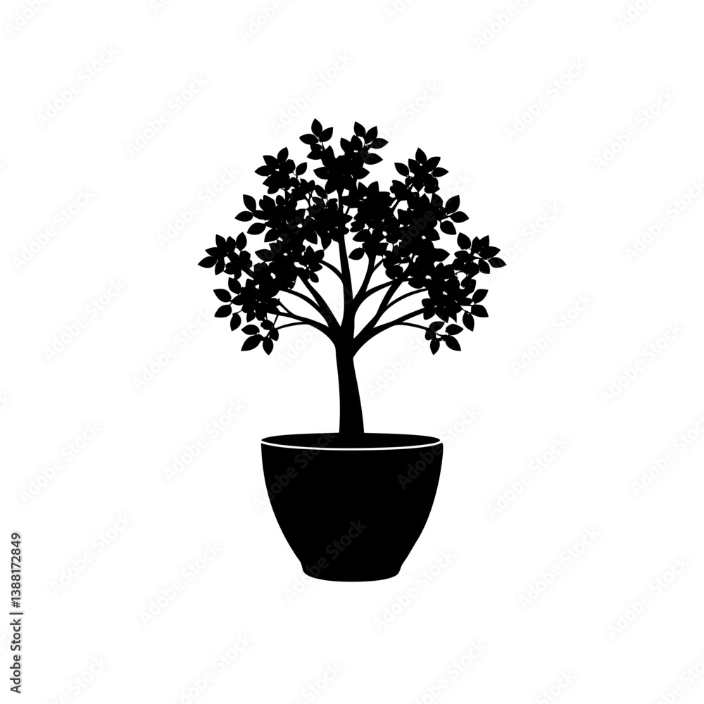Obraz premium Indoor Plant Pot Tree Silhouette