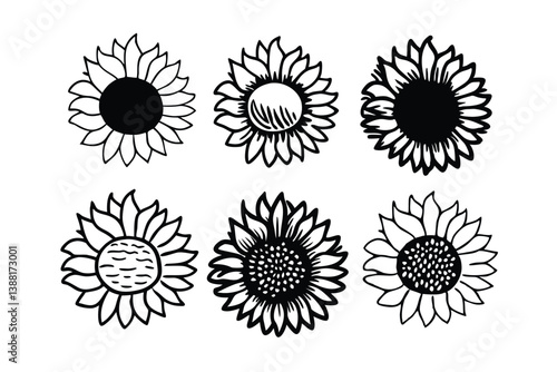 sunflower illustration. Vintage woodcut engraving style vector