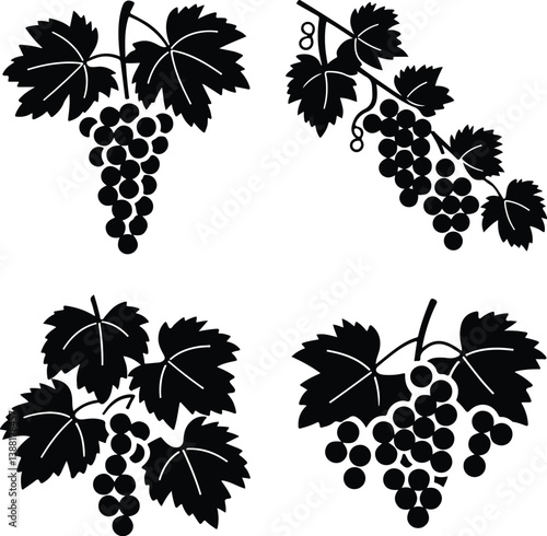 Grapes Vector Silhouette | Vineyard, Fruit Bunch and Design Grapes Silhouette Set | Fruit, Vine and Nature Vector Icons