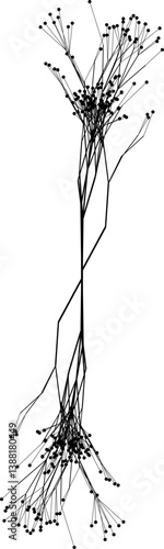 Vector illustration featuring two tree tops with branching limbs and visible fruit.