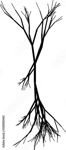 Fine-lined vector depiction of a delicate and detailed root structure spreading outwards.