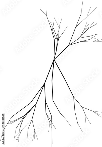 Monochrome vector of a tree’s root system using thin lines for structure.