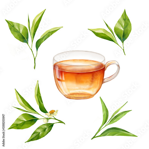 Tea in glass cup. Illustration with tea leaves