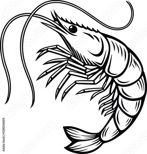 Authentic Shrimp Vector Clipart for Seafood-