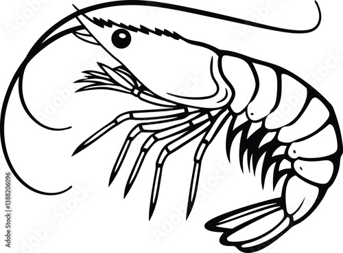 High-Resolution Shrimp Vector Graphics
