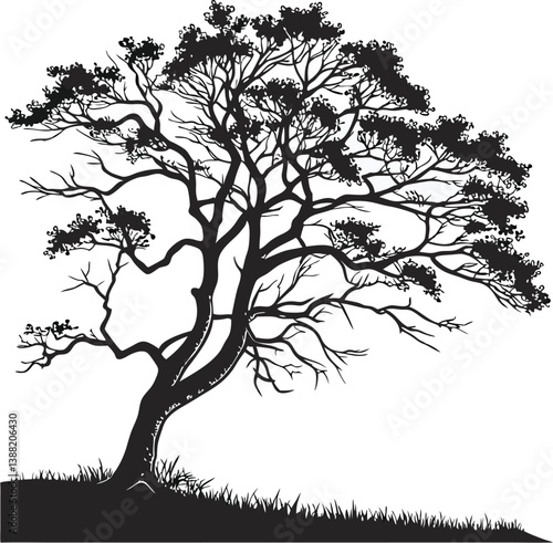Black and White tree vector