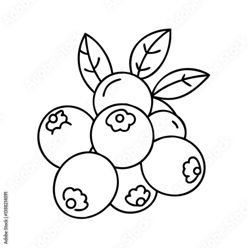 bilberry icon, bilberry line art - simple line art of bilberry, perfect for bilberry logos and icons