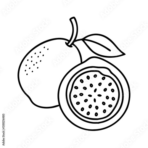 passion fruit icon, passion fruit line art - simple line art of passion fruit, perfect for passion fruit logos and icons