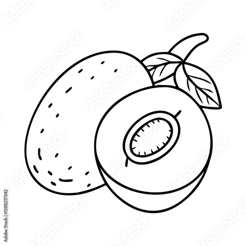sapodilla fruit icon, sapodilla fruit line art - simple line art of sapodilla fruit, perfect for sapodilla fruit logos and icons
