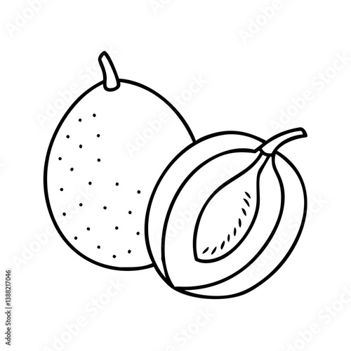 sapodilla fruit icon, sapodilla fruit line art - simple line art of sapodilla fruit, perfect for sapodilla fruit logos and icons