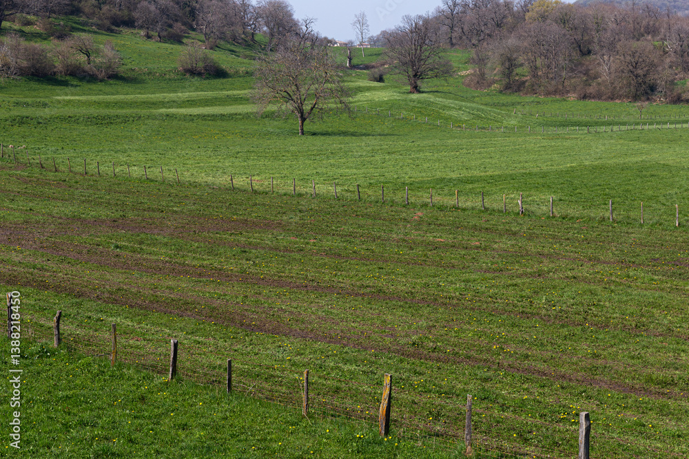 Rural glimpse in the Euganean Hills Park. Lines of tilled fields and green meadows under a clear sky. Italy.