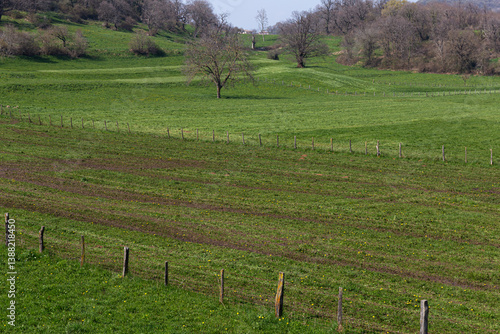 Obraz na płótnie Rural glimpse in the Euganean Hills Park. Lines of tilled fields and green meadows under a clear sky. Italy. w salonie
