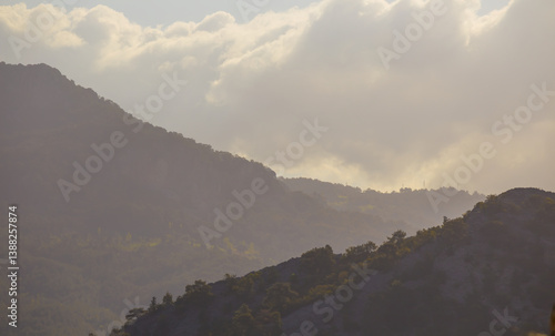 green mountain valley with pine forest on hill in dense clouds