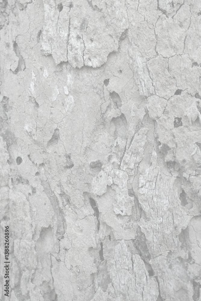 Fototapeta premium Pattern of dried light grey bark wood. Old cracked wood texture with many hole, big tree surface.Template for design. Abstract nature background. Beautiful space for work.Banner.Wallpaper. Vertical.