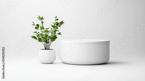 Wallpaper Mural A small potted plant with green leaves sits beside a larger, cylindrical white pedestal. The scene is minimalist, with a simple composition. The image is high-quality, featuring bright, even lighting Torontodigital.ca