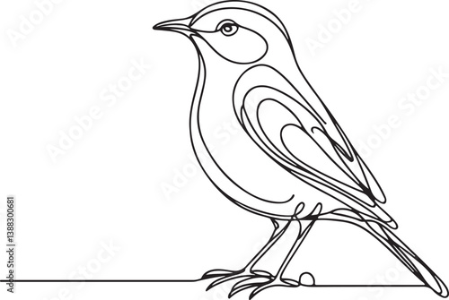 Obraz na płótnie Minimalist Nightingale Line Art in Vector