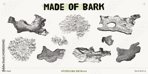 Vintage-Inspired Stipple Illustration of Lichens and Bark Pieces,