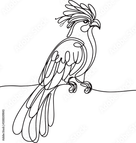 Quetzal Bird Line Drawing