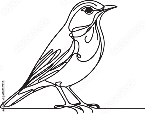 Thrush Bird Vector Illustration