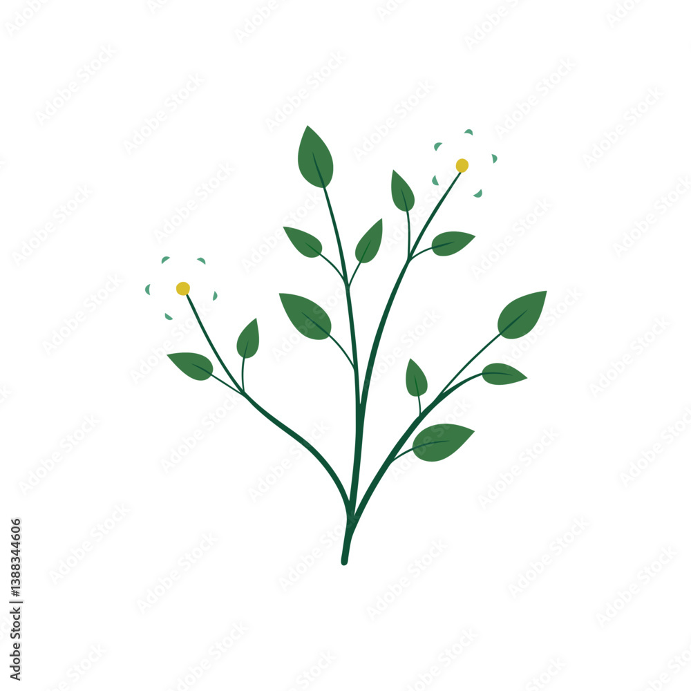 branch with green leaves branch with green leaves