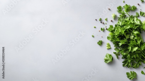 A vibrant bunch of fresh parsley dominates the images right side, scattered with a few loose leaves. The simple composition features a light gray background. The image boasts high resolution and cris