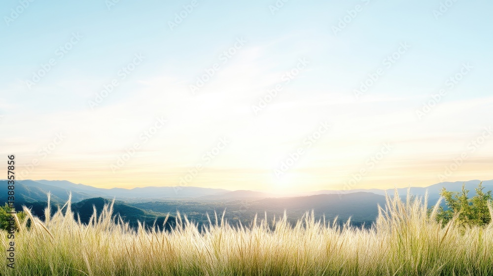 Panoramic view of a mountain range at sunrise, with tall grass in the foreground. Soft light bathes the scene, creating a tranquil and serene atmosphere Panoramic view of a mountain range at sunrise, with tall grass in the foreground. Soft light bathes the scene, creating a tranquil and serene atmosphere