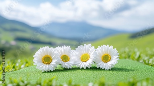 Four white daisies with yellow centers rest on a green surface. They are arranged in a row, creating a simple composition. The background is a softly blurred landscape of rolling green hills under a