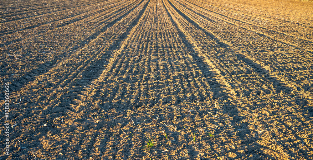 Fototapeta premium Tractor wheel marks on a freshly plowed field