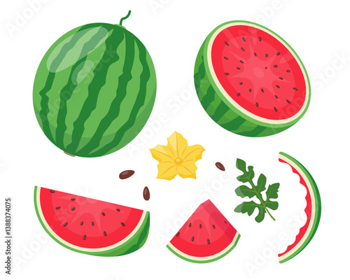 Fresh watermelon fruits icons. Whole watermelon, half and pieces, leaf, flower and seeds. Organic fruit for juice, smoothie or vitamin healthy food. Vector illustration isolated on white background.