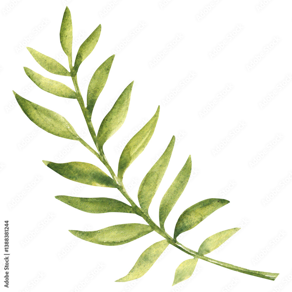 Fototapeta premium Palm Tropical green Leaf. Watercolor Hand drawn floral illustration isolated on a white background. Design element for pattern, logo or decoration.