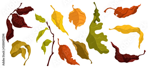 Set of autumn colorful leaves. Vector graphics.
