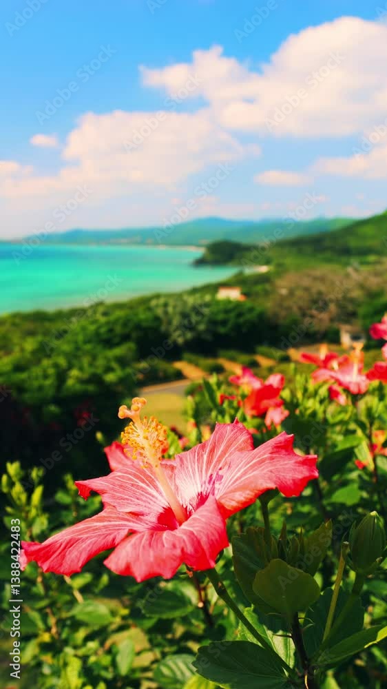 A red hibiscus flower swaying in wind in tropical summer, Okinawa in Japan, Vertical video for smartphone footage, 4K slow motion A red hibiscus flower swaying in wind in tropical summer, Okinawa in Japan, Vertical video for smartphone footage, 4K slow motion