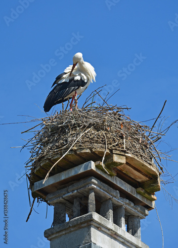 Stochennester, Storchenkolonie, Uznach SG