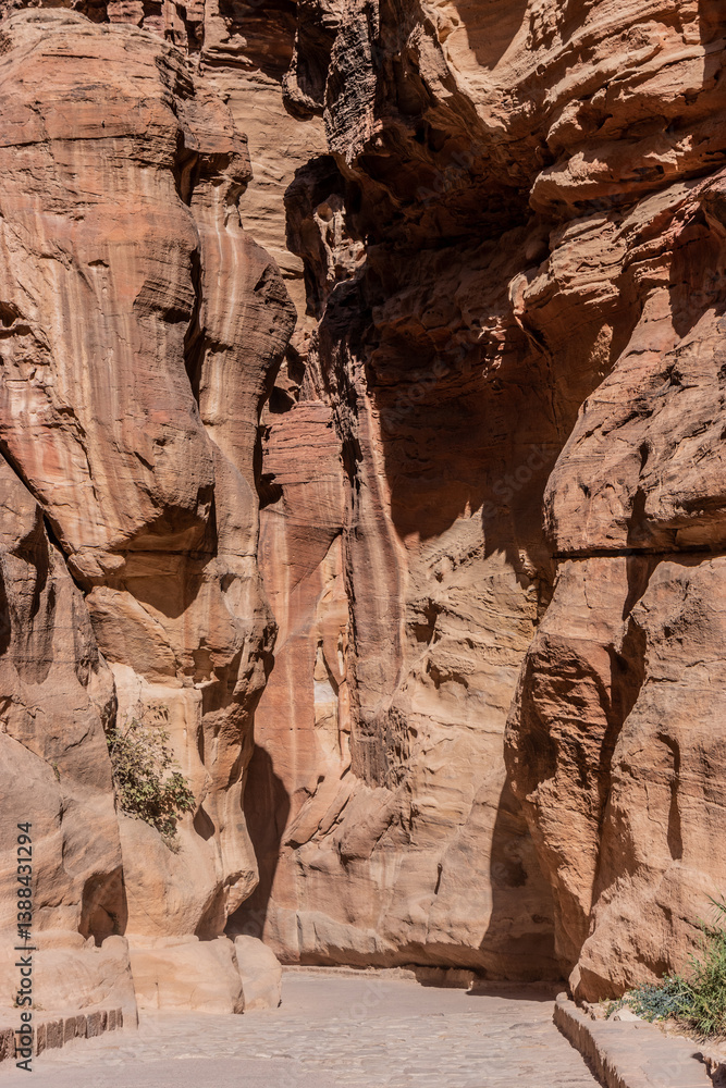 The Siq gorge, main entrance to the ancient city Petra, Jordan