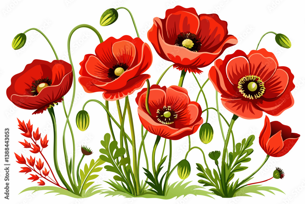Naklejka premium vector of Poppy flowers with white background