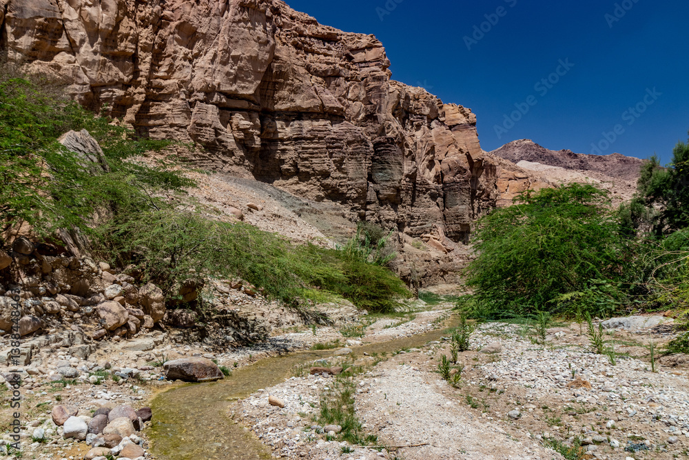 View of Wadi Numeira canyon, Jordan